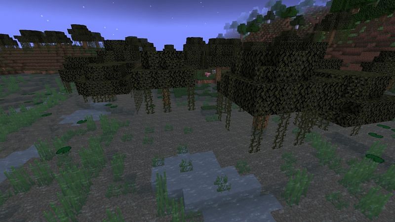The swamp biome (Image via Minecraft)
